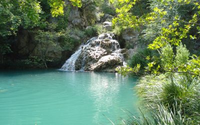 A Contemplation on How to Believe