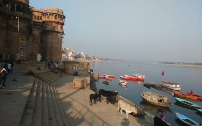 A Valuable Lesson of Friendship on the Shores of the Rives Ganges