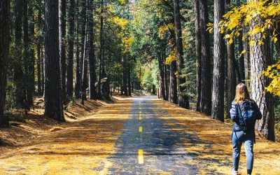Making your Own Choices