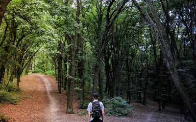 The Importance of the Healthy Changes and the Way to Achieve them